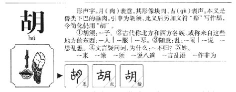 胡 五行|胡字五行属什么